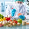 Biomaxima Food Microbiology PCR Kits