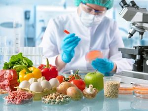 Biomaxima Food Microbiology PCR Kits