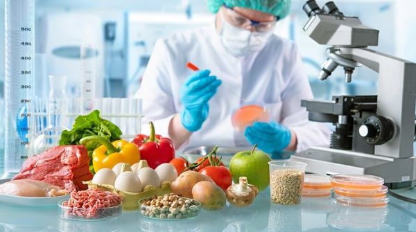 Biomaxima Food Microbiology PCR Kits