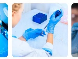 Agarose for gel