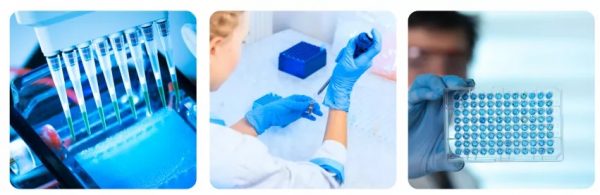 Agarose for gel